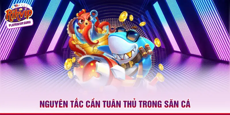 Nguyên tắc cần tuân thủ trong săn cá