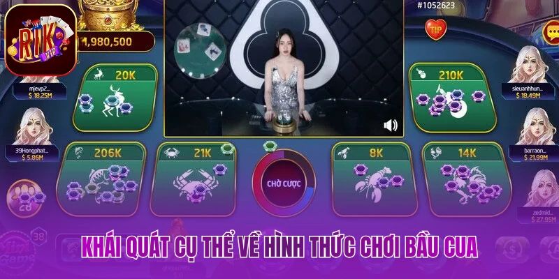 Khái quát cụ thể về hình thức chơi bầu cua